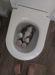 soft toy down toilet toddler not just a tit