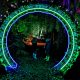 magical woodland experience not just a tit cheshire light show
