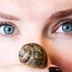 why i have been using snail goo on my skin and what it has done for it